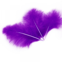 Перья Фиолетовый
